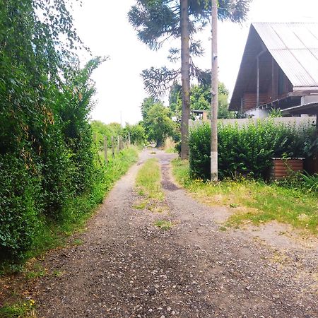 Cabana La Araucaria El Manzano  Стая снимка